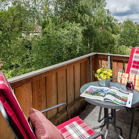 - Zum Ochsen Gmbh 3*