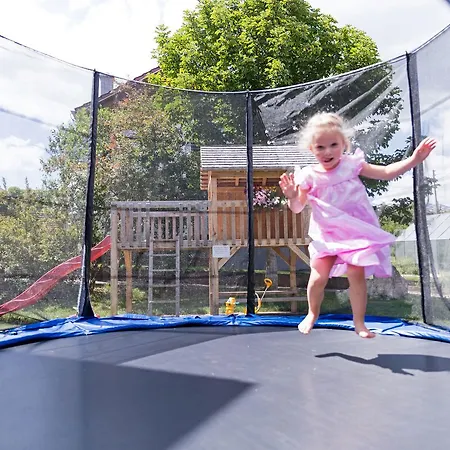 - Zum Ochsen Gmbh 3*